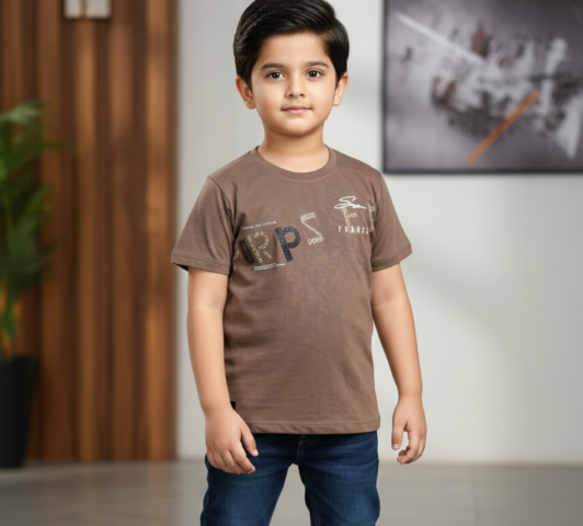 Boys Brown Graphic Cotton T-Shirt